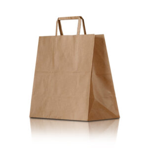 Recycled Paper Brown Shopping Bag - Large