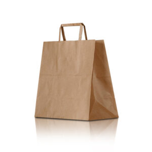 Recycled Paper Brown Shopping Bag - Medium